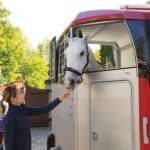 Van Ifor Williams HBX 506 – 2 places – charge 2600 kg