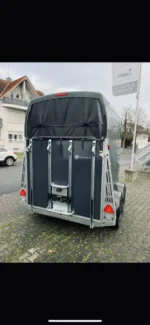Van 2 chevaux Careliner M Grey – Image 2